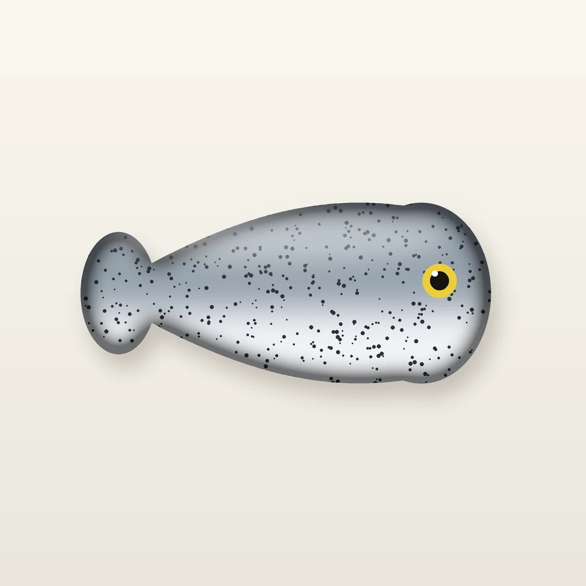 Shad Pattern Minnow