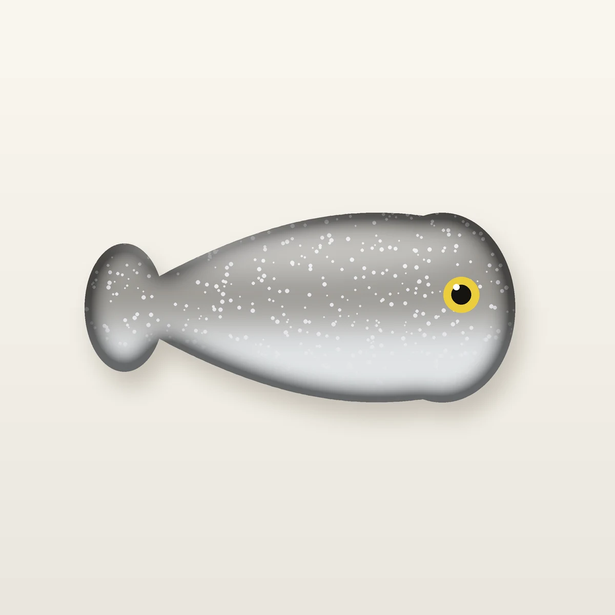 Smoke Shiner Minnow