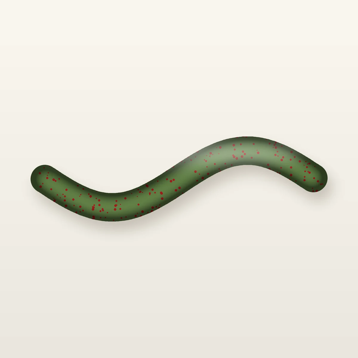 Watermelon Red Stick Worm